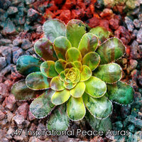Therapeutic Peace - Massage Tribe