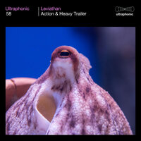 Night Shift - Ultraphonic