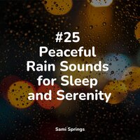 Sound of Storms - Zarobi & Deep Horizon Waves & Rain Storm Sample Library