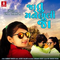 Jatu Mane Bhuli Ja - Vina Thakor