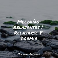 Luna Clara - Musica Para Dormir Bebes & Meditação Yoga Maestro & Música Relajante para Perros