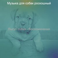 Звуки (Одинокие собаки) - Музыка для собак роскошный