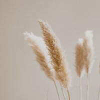 Canciones De Cuna - Música para Dormir Con Relajantes Sonidos de la Naturaleza & Sons da Natureza & Musica Para Meditar y Relajarse