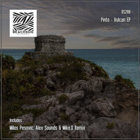 Rise - Pinto & Mike.D