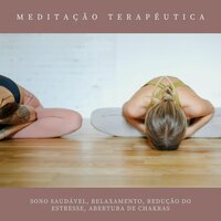 Limpeza de Aura - Amélia Estresse