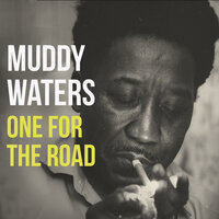 I Want to Be Loved - Muddy Waters