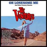 Oh, Lonesome Me - The Ventures