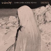 Oneonta - The Album Leaf & Dark Dark Horse