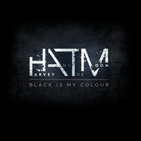 Love / Hate / Confrontation - Harvey