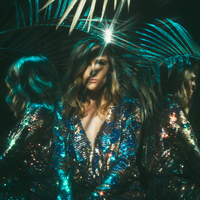 Paper Cranes - Willow Stephens