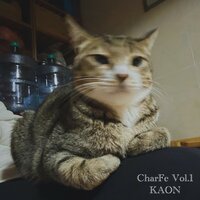 Cat Wah V.S. Guitar Wah - Kaon