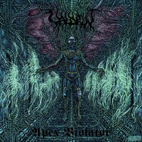 Black Imperial Smoke - Valdrin