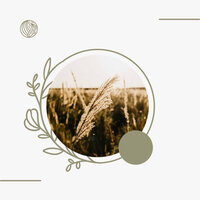 Understated Rejuvenating Seasons - Desayuno Jazz Bgm