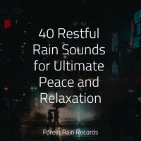 Birdsong in the Wind - Nature Sounds for Relaxation and Sleep & Sleep Lullabies for Newborn & Crying & Colic Relief