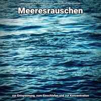 Ansprechende Echos - Meeresrauschen ohne Entspannungsmusik & Naturgeräusche & Meeresrauschen