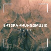 Entspannen Sie sich Zustand - Hintergrundmusik Akademie
