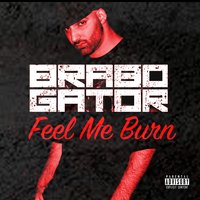 Heartbreak in a Hearse - Brabo Gator & Will Aaron