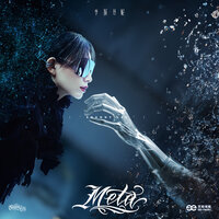 Meta - 李斯丹妮