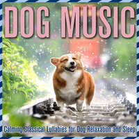 Moonlit Serenade - PetTunes & Relax My Puppy