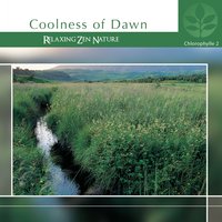 Fraîcheur du levant - Laurent Dury