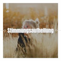 Negative Gefühle Loslassen - Klaviermusik Entspannen