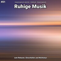 Ruhige Musik Teil 63 - Entspannungsmusik Jakob Kohs & Schlafmusik & Entspannungsmusik