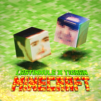 Minecraft - Tigran & LASTINHVLE