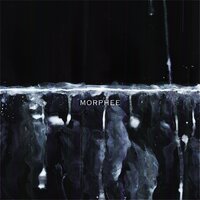 Morphée - La Cantina
