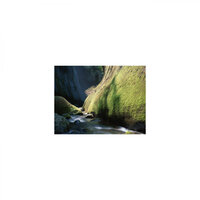 Twilight & Sensitivity - Mindfulness Healing BGM Project