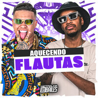 Aquecendo Flautas - Mc Lobinho & DJ VN Mix