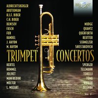 IV. Vivace - Cappella Istropolitana