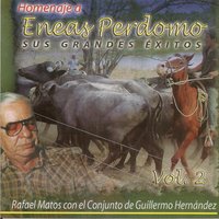 Palmaritales de Arauca - Rafael Matos & Guillermo Hernandez