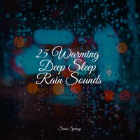 Sidewalk Rain - Soothing White Noise For Infant Sleeping And Massage & Alpha Waves & Lush Rain Creators