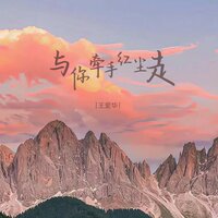 与你牵手红尘走 - 王爱华