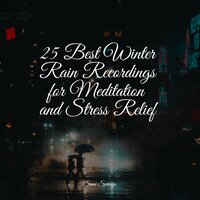 Forest, Light Rain, MIdday - Rain Shower Spa & Organic Nature Sounds & Zona Música Relaxante