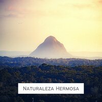 Naturaleza Hermosa - Salinas Fernandez