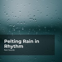 Rain Falling Musically - Rain Sounds & Rain Storm Sample Library & Natural Rain Sounds for Sleeping