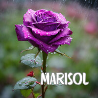 Marisol - Orquesta Victor Dominguez & Los Incateños