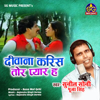 Diwana Karis Tor Pyar Ha - Sunil Soni & pooja singh