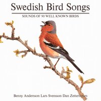 Cuckoo - Benny Andersson
