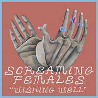 Let Me In - Screaming Females