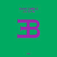 Just Wanna - Sonny Zamolo