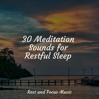 Ocean's Lapping - Relaxing Sleep Music & Bath Spa Relaxing Music Zone & Native American Flute