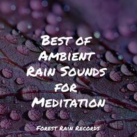 Relaxing Creek - Regengeräusche & Rain Sound Plus & Natural Samples