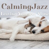 Soft Fur - Jazz Music for Dogs & Jazz Music for Cats & Jazz Pets Relax