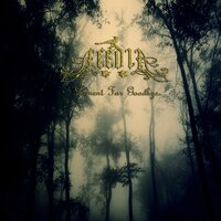 The Black Roses Born In The Cold Winter Nights - Acedia