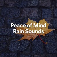 Finest Rain - Rain for Deep Sleep