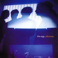 Sunglasses - The Egg