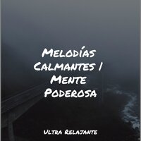 Vivificar - Dormir e Meditar & Musica Para Meditar y Relajarse & Massagem