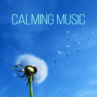 Tranquility - Odyssey for Relax Music Universe